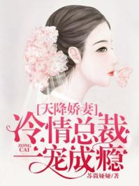 天降娇妻