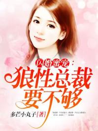 狼性总裁秘宠妻
