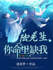 陆先生命里缺我全文免费阅读