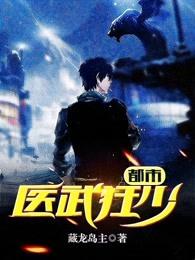 都市医武狂婿藏龙岛主