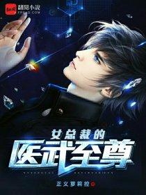 女总裁的医武至尊 精校版