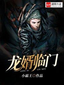 龙婿免费全文阅
