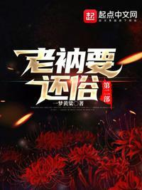老衲要还俗第二部百度