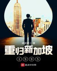 重归新加坡1995 第17章