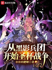 从黑影兵团开始圣杯战争评分