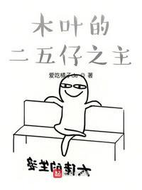 木叶24年