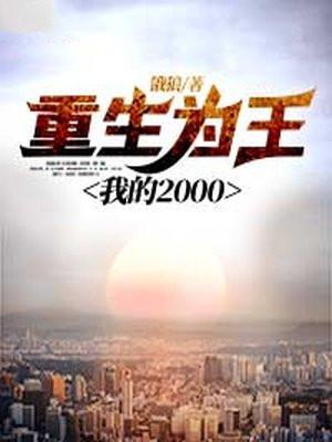 我的2000盘
