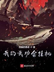 我的武功会挂机zp