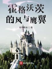 霍格沃茨的风与鹰翼 破碎泰迪