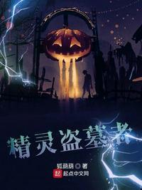 精灵盗墓者博看