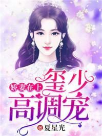 沈湘傅少钦免费阅读1714