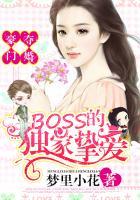 豪门boss 天价妻叫什么