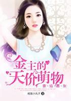 妻主金安免费阅读全文
