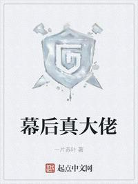 幕后真大佬书评