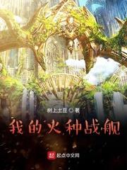 我的火种战舰的免费阅读