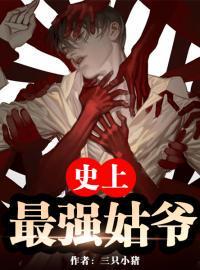 无敌姑爷赵恪免费阅读