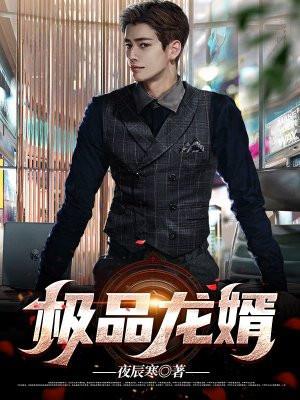 极品龙婿电视剧免费观看高清