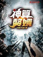 神算赘婿全集免费观看