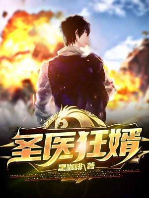 圣医狂婿林易叶清雪惠兰公主