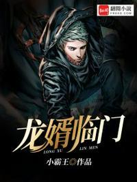 龙婿陈峰免费阅读