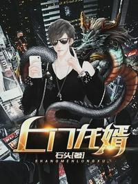 上门龙婿最新更新