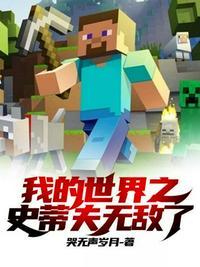 我的世界史蒂夫 视频