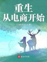 重生从电商开始的主角有几个女人