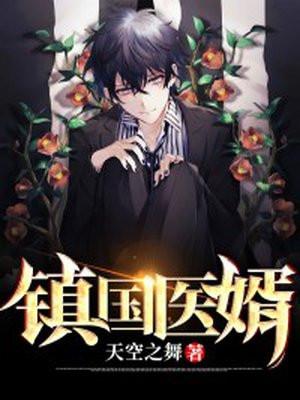 镇国医婿王 吴泪
