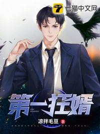 第一狂婿林羽何家荣江颜