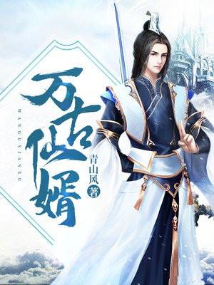 万古仙婿TXT全集
