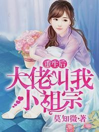 叶容音傅镜司全集