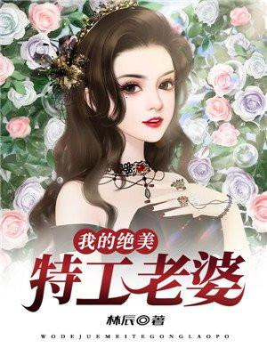 我的绝美特工老婆txt