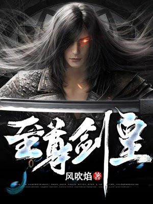至尊剑皇作者