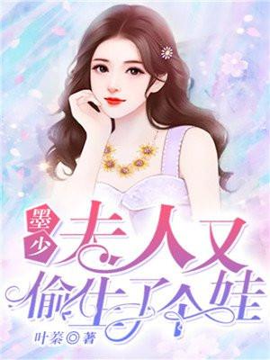 夫人又偷生了个娃
