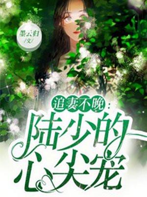 追妻不晚陆少的心尖宠 墨云归