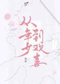 从年少到欢喜作者轻松