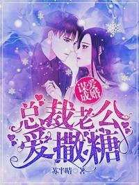 女主叫宁浅的免费阅读