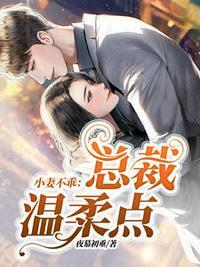苏暖暖厉衍琛电视剧