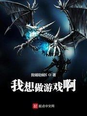我想搞游戏