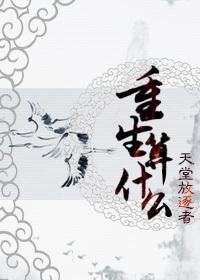 重生算什么简介