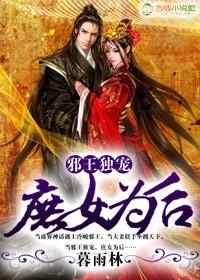 邪王庶妃医妃是个小财迷