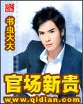 官场新贵黄安国txt