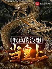 我真没想当皇上啊