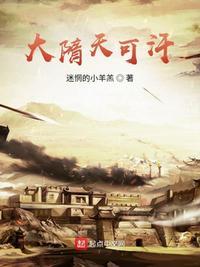 大隋强权