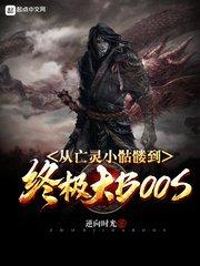 从骷髅到亡灵君主第八区