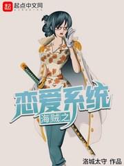 海贼王之恋爱历史