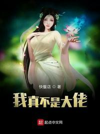 我真不是大佬笔趣阁