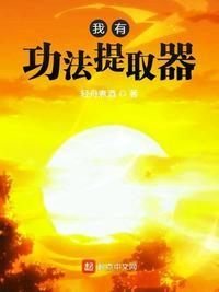 我有功法提取器等级划分