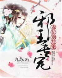 别乱来! 九苏TXT全集