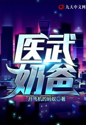 医武奶爸叶凡